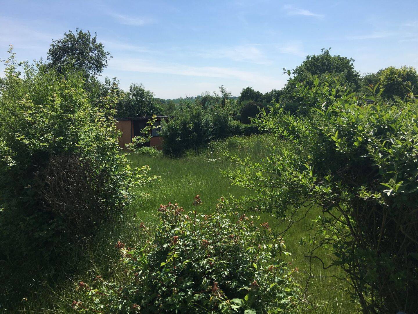 BAUEN SIE IHR EIGENES TRAUM(ZU)HAUSE FÜR FAMILIENGLÜCK UND KINDERLACHEN! TELEFON 01714863595 – Schneeberg – Vorschaubild 2