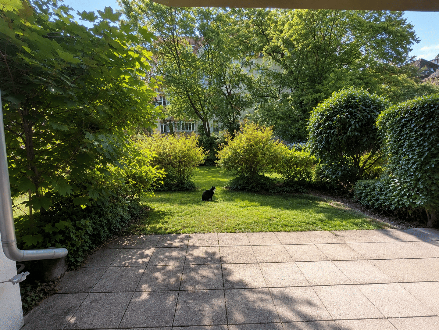 Bezugsfreie Single-Wohnung mit Gartenanteil und Einbauküche – Leipzig – Vorschaubild 2
