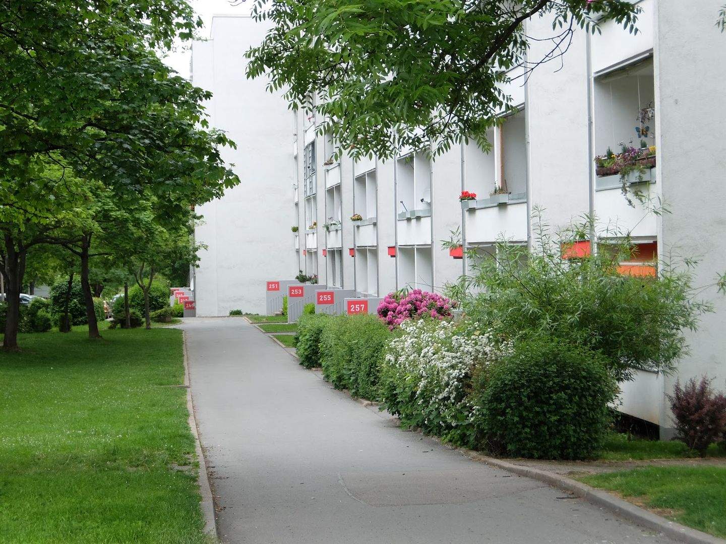 Ihr neues Familienglück: Modern, hell – Chemnitz – Vorschaubild 6