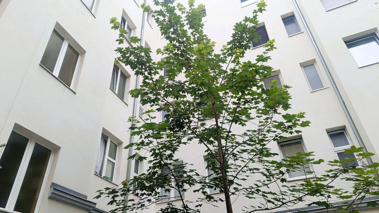 Renoviert und bezugsfreie Altbauwohnung -nahe Schloss Charlottenburg -