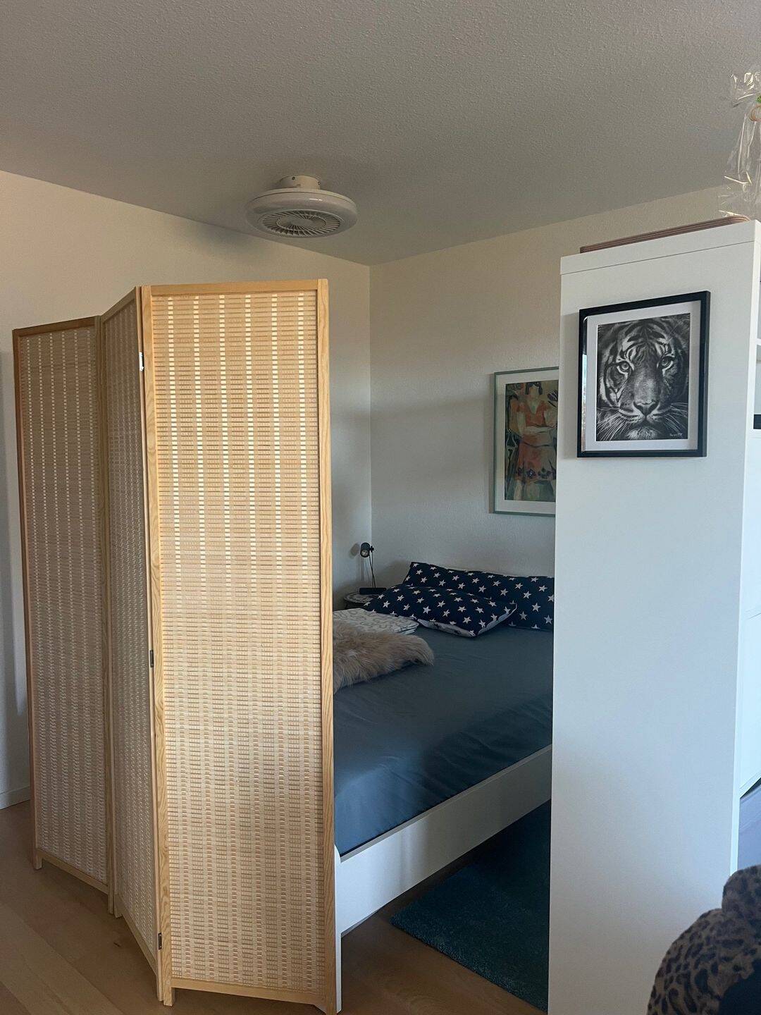 Neu renovierte möblierte 1,5 Zimmer Wohnung in Saarbrücker Innenstadt zu verkaufen – Saarbrücken – Vorschaubild 7