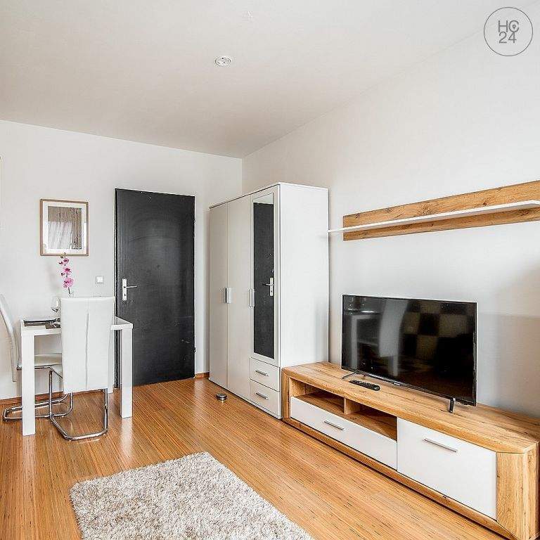 Schönes und modern möbliertes Apartment mit Balkon und WLAN nahe Nürnberg Hauptbahnhof – Nürnberg – Vorschaubild 7