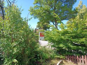 Familienfreundlich: Endreihenhaus in St. Gertrud, nahe Stadtpark, nahe Kindergarten ! Förderfähig – 23566 Lübeck – Vorschaubild 2