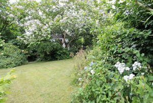 Ein Haus mit Charakter, Raum und Gartenfreude - Einfamilienhaus in ruhiger Lage von Hamburg-Lurup – 22549 Hamburg – Vorschaubild 4