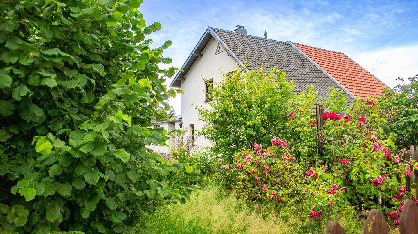 Rosen & Lavendel – Hartmannsdorf – Bild 1 von 9