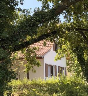 Freistehendes Einfamilienhaus mit Photovoltaikanlage auf sonnigem Grundstück in Berlin-Wittenau – 13403 Berlin – Vorschaubild 3