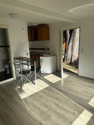 1-Zimmerapartment mit EBK und grauen Laminat / App. 5