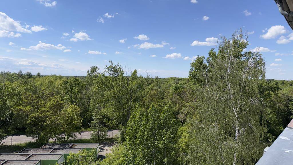 Saniert und bezugsfertig, dass ist Ihre Chance! / Renovated and ready to move in this is your chan – Leipzig – Vorschaubild 4