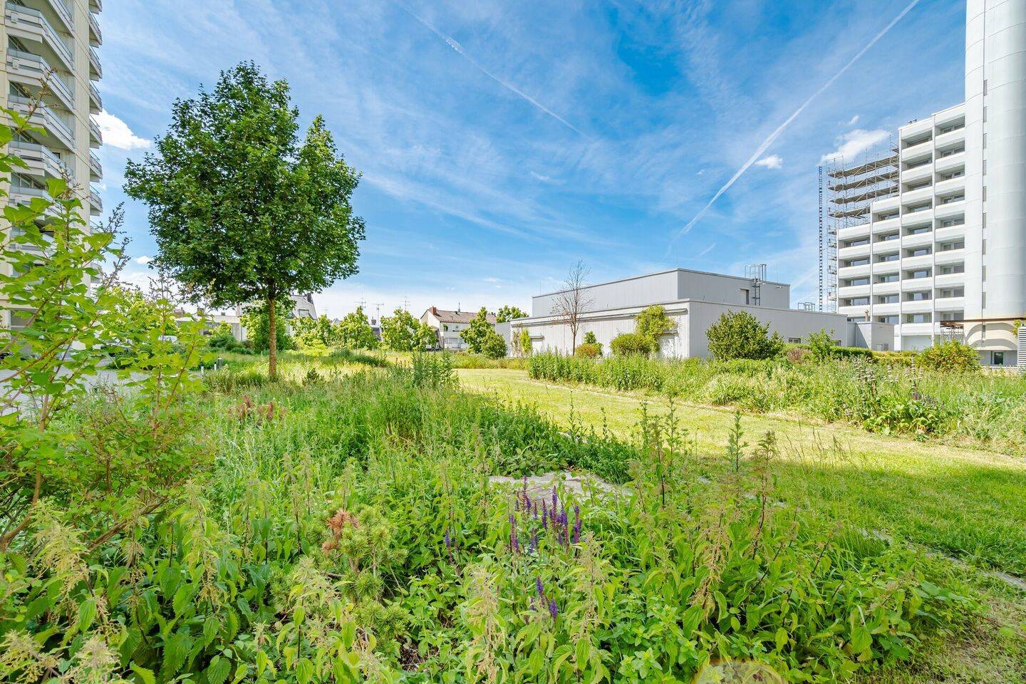 Helles Apartment mit Balkon an der Theresienwiese! – München – Vorschaubild 7