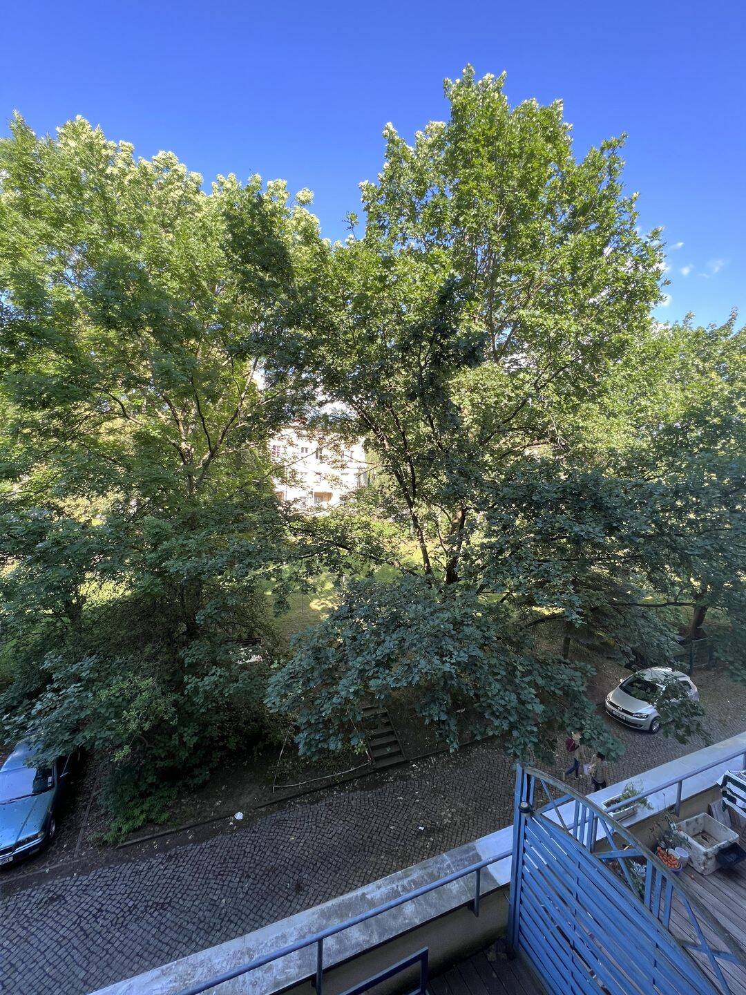 vermietete 2 Zimmerwohnung in Zentrumsnähe – Chemnitz – Vorschaubild 5
