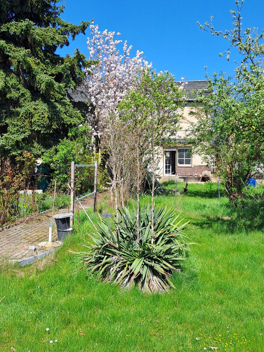 Großes Einfamilienhaus auf 1280m² Grundstück in bester Wohnlage. – Magdeburg – Vorschaubild 4