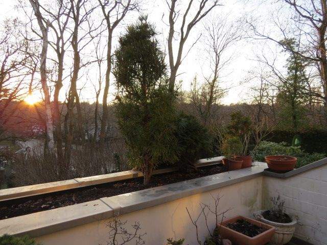 Berlin-Grunewald, beste Lage im EG aber(!) zur Waldseite 1.OG durch Hanglage mit großer Süd-Terrasse und herrlichem Blick in die Natur - Einzelgarage – Berlin – Vorschaubild 5