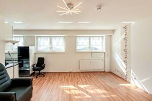 Attraktives, freies 1-Zimmer-Apartment mit Stellplatz – 54292 Trier – Vorschaubild 2