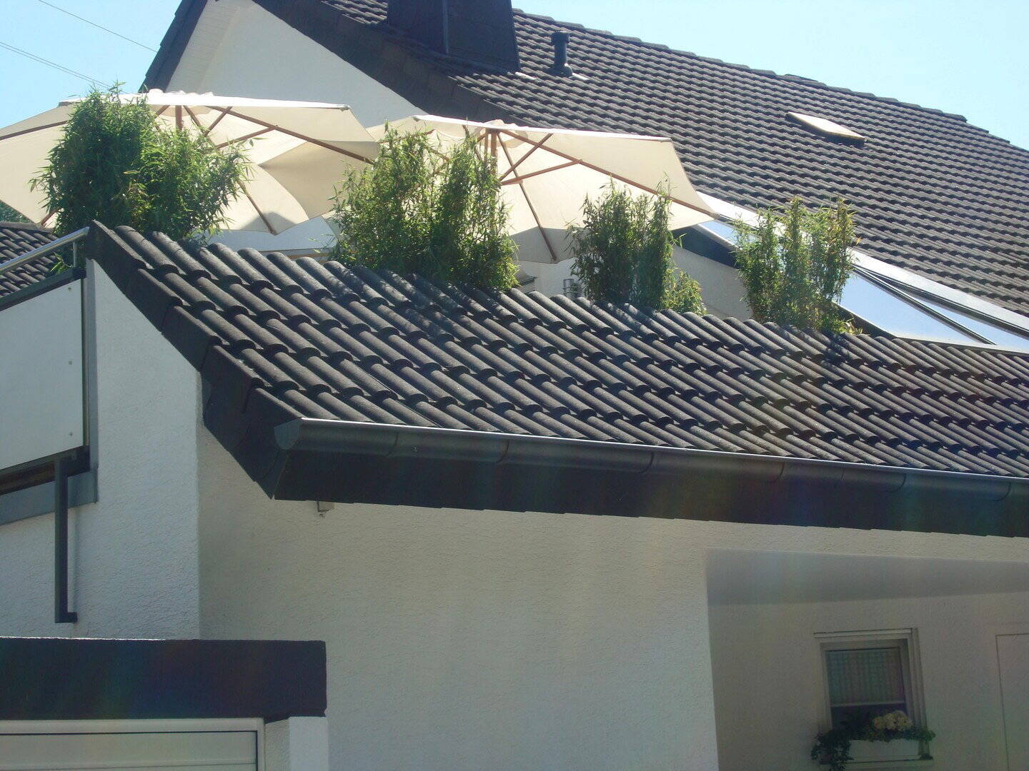 Keine Courtage! Luxuriöses Haus am Wald und doch in der Stadt- ruhige Toplage, vielseitig nutzbar – Saarbrücken – Vorschaubild 8