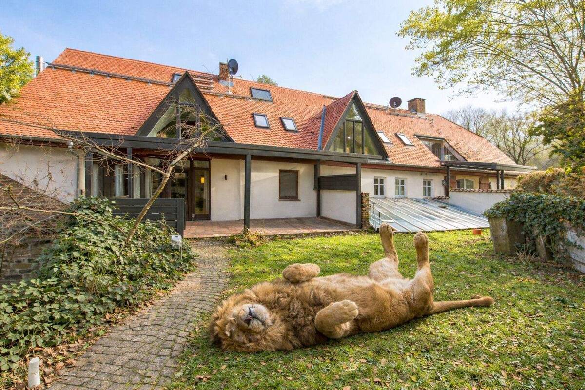 SCHWIND IMMOBILIEN - Ein Zuhause mit Seele - Maisonette-Traum mit Garten in denkmalgeschützter Mühle – 64297 Darmstadt – Bild 1 von 9