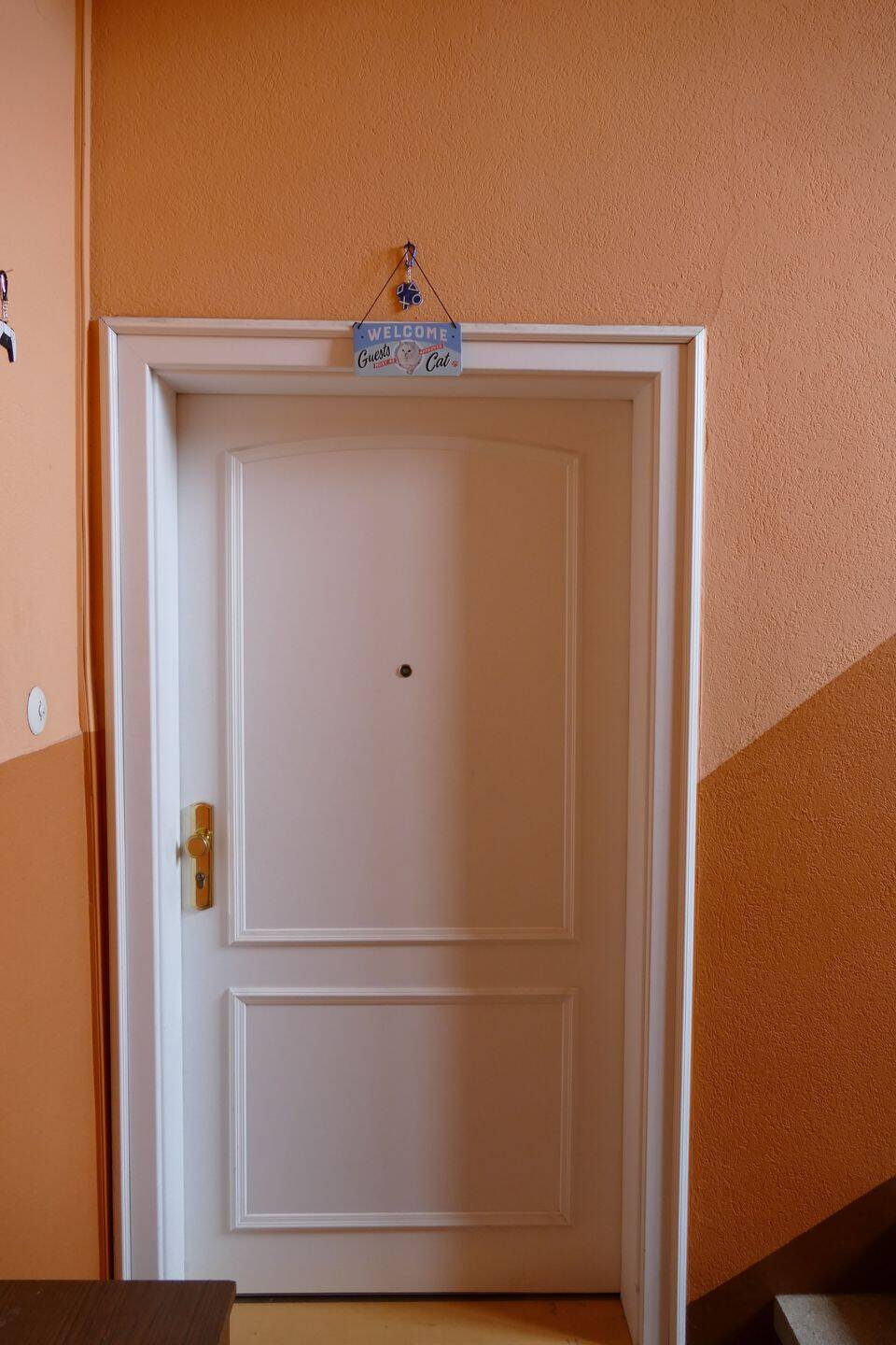 Privatverkauf - Erlesene Altbauwohung im Herzen von Pforzheim - direkt an der Enz – Pforzheim – Vorschaubild 2