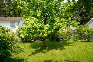 Wohnhaus mit 7 Wohneinheiten, Garten, Terrassen und Balkonen in Bestlage von Feldmoching – 80995 München – Vorschaubild 5