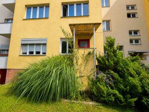 Bezugsfrei - modernisiert - individuell: 2,5-Zimmer-Wohnung in grüner Lage von Steglitz – 12163 Berlin – Vorschaubild 2