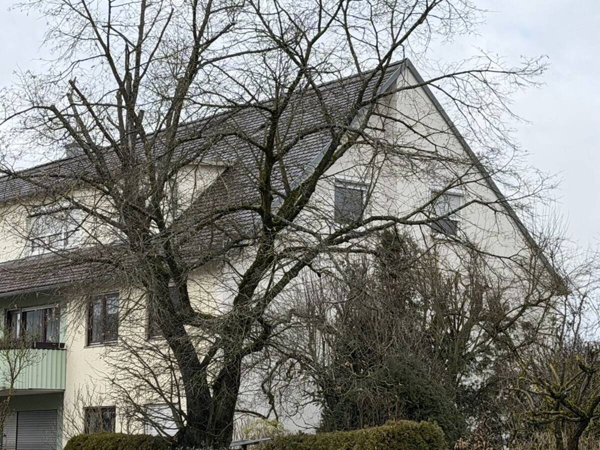 4-Zimmer-Eigentumswohnung in begehrter Wohnlage - WG tauglich – 93051 Regensburg – Bild 1 von 9