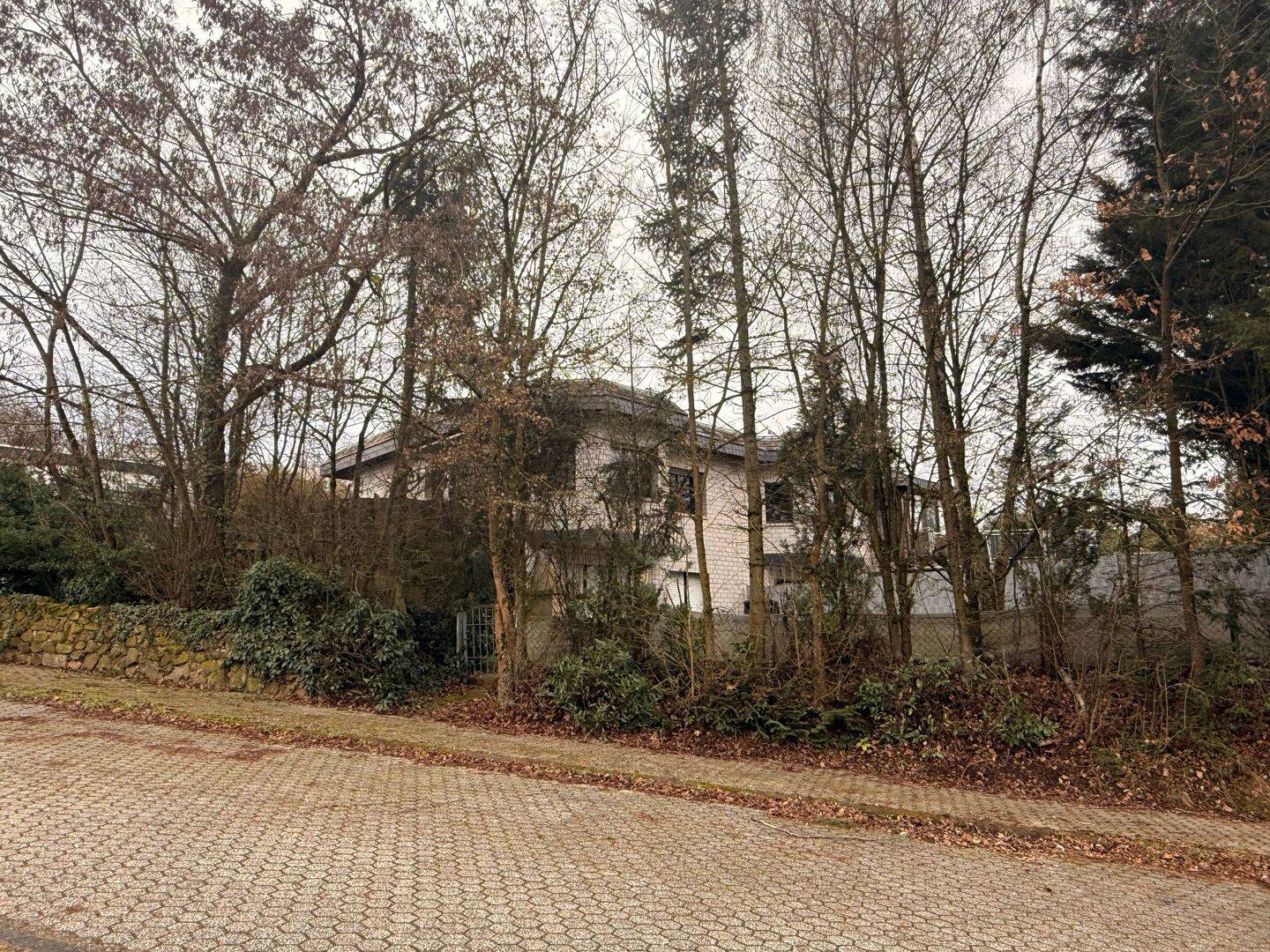 Charmante Doppelhaushälfte in Trier-Ruwer mit Garten, Terrassen & Top-Lage in den Weinbergen – Trier – Vorschaubild 3