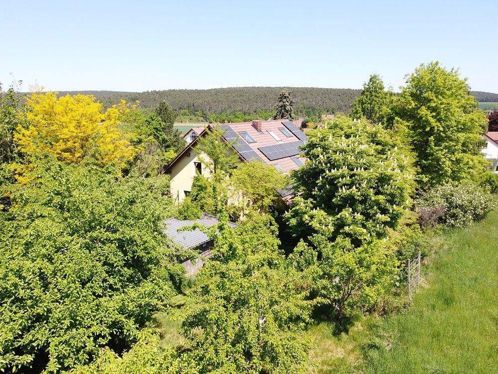 EFH in absolut ruhiger Dorfrandlage bei Regenstauf – Regenstauf – Vorschaubild 3