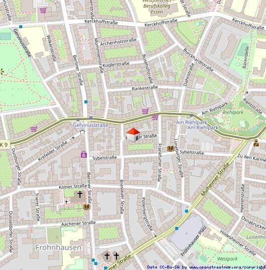 Helle 2 Raum-Wohnung mit Balkon in Essen-Frohnhausen – Essen – Vorschaubild 8