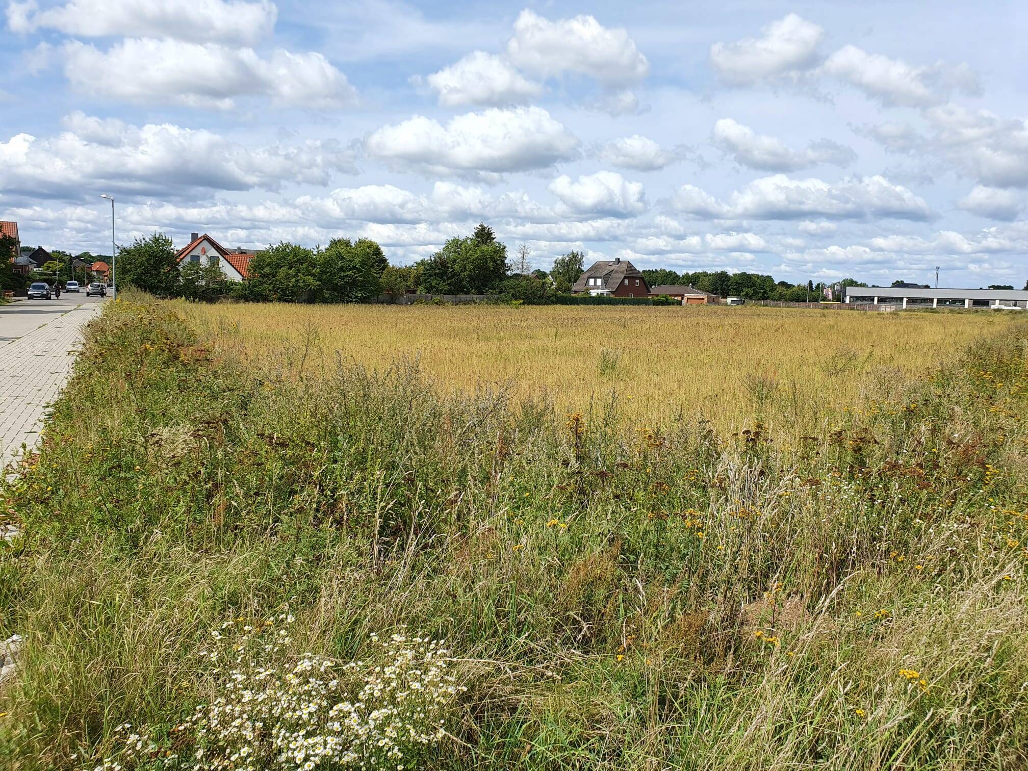 Ein Bungalow, der begeistert im kommenden Baugeb. in Meinersen. – Meinersen – Vorschaubild 4