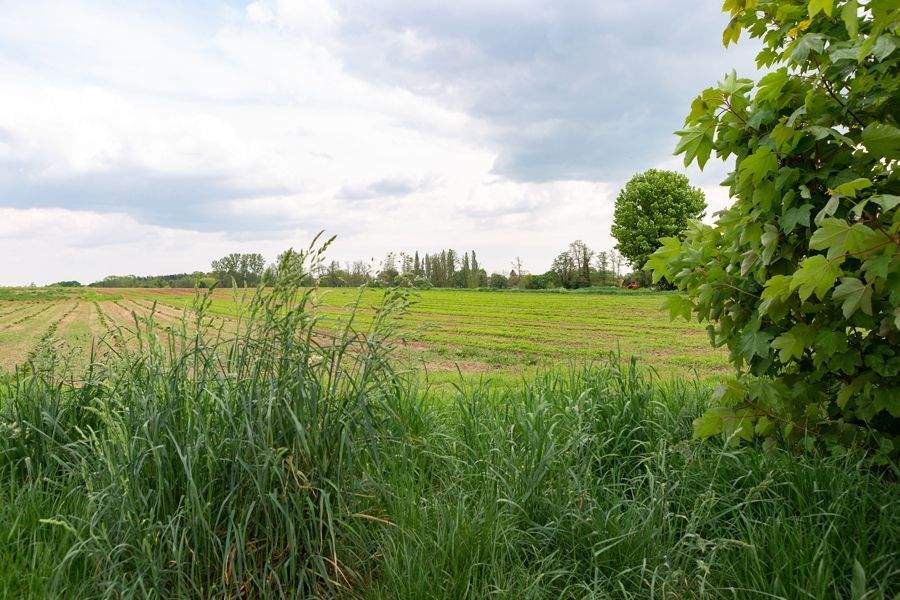 Kein Garten mehr I Dafür mehr Freizeit – Ihr neues Zuhause auf rund 103 qm Wohlfühlfläche – Nürnberg – Vorschaubild 3