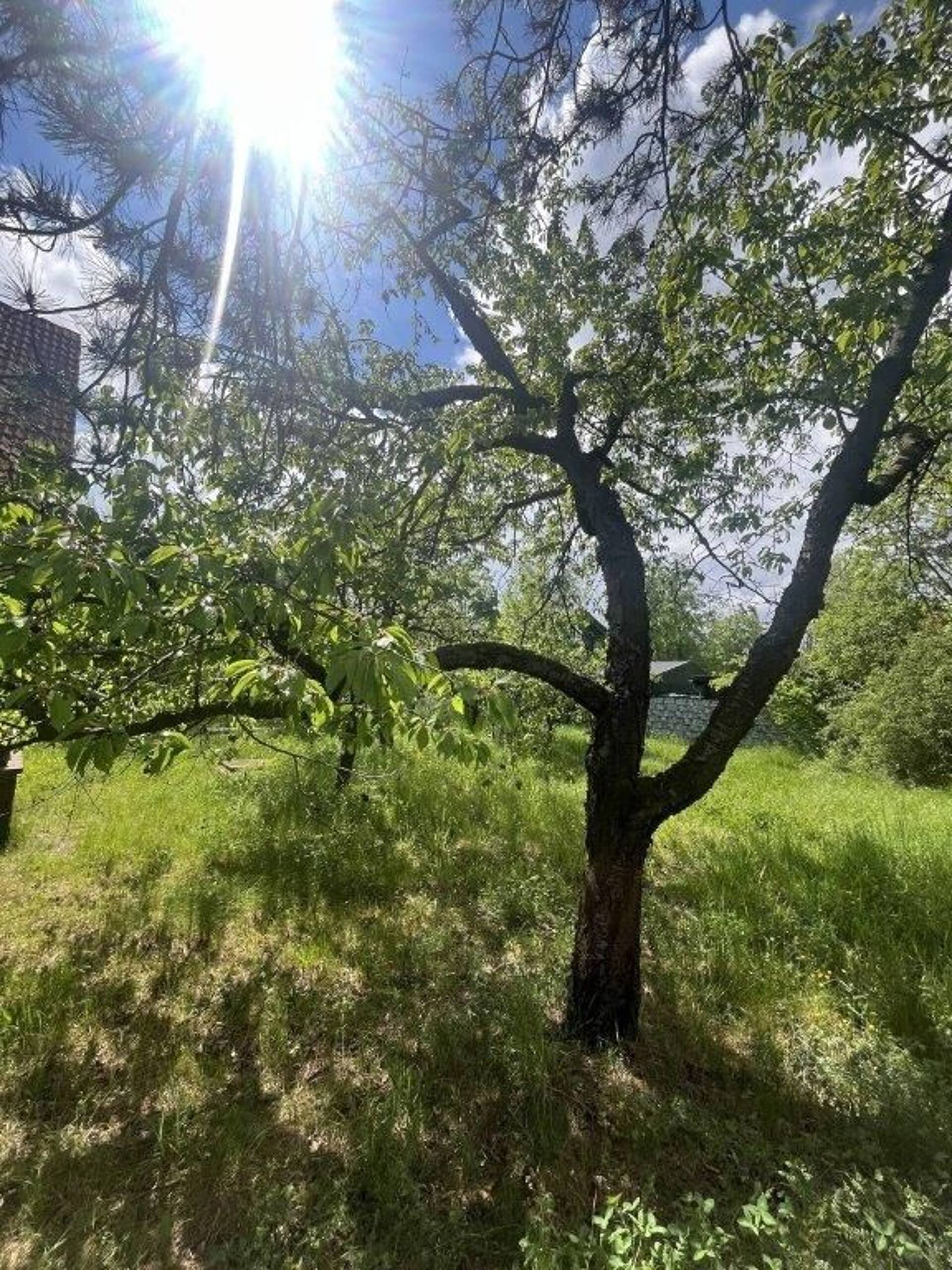 Haus in 01968 Senftenberg OT Sedlitz mit 137 m² kaufen