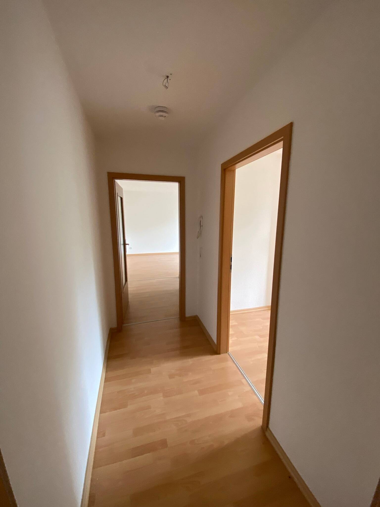OBEN°°°°gemütliche2-Raum-Wohnung mit Laminat im DG °°°° – Chemnitz – Vorschaubild 4