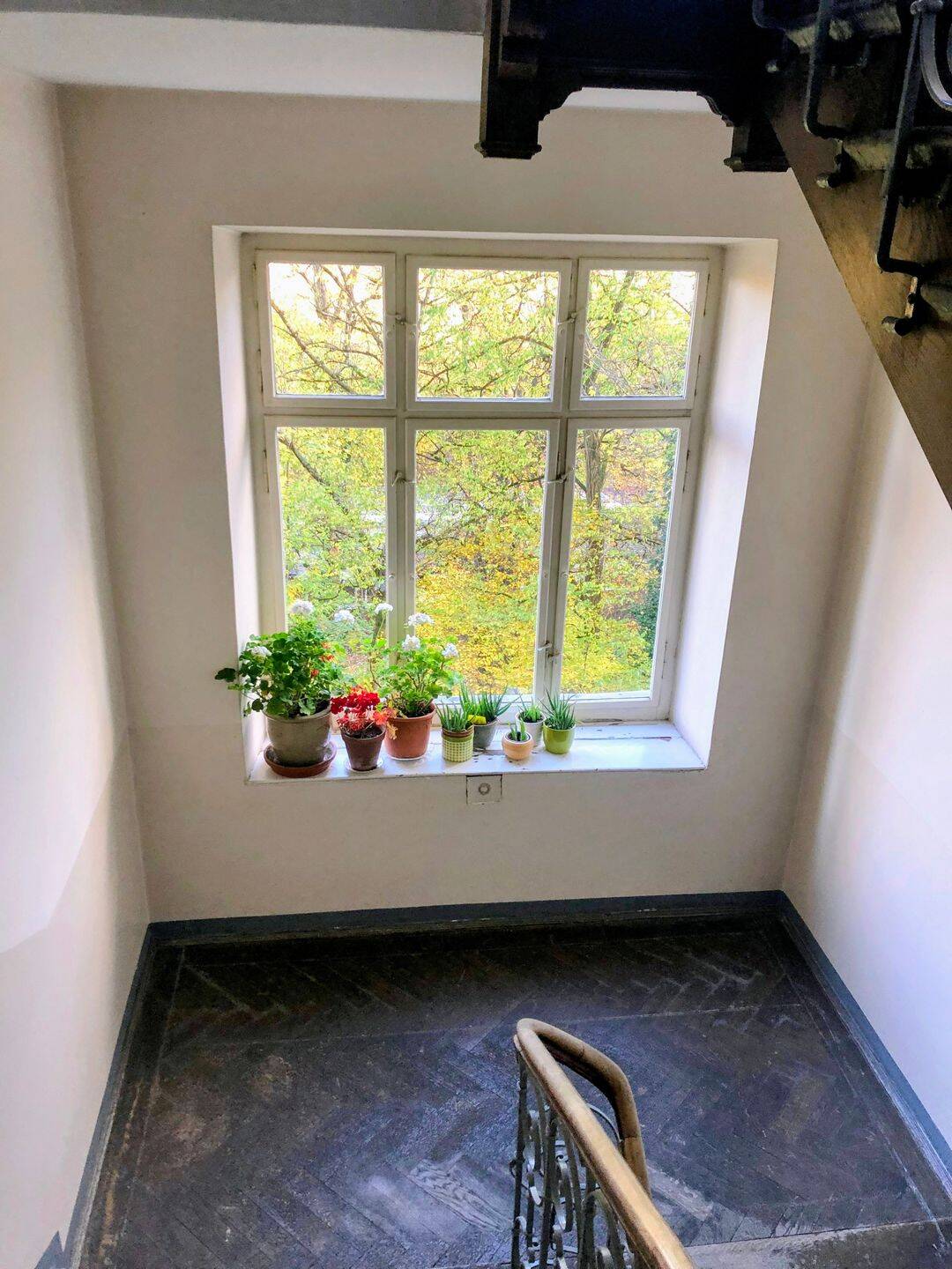 Neu errichtete Galeriewohnung im denkmalgeschützten Altbau am Harras – Loftstyle, 61 m² ab August 2026 – München – Vorschaubild 4
