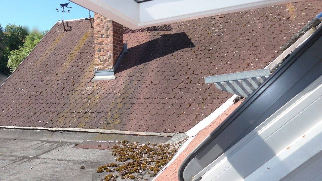 Viel Potential mit gemütlichem Innenhof – Glauchau – Vorschaubild 6