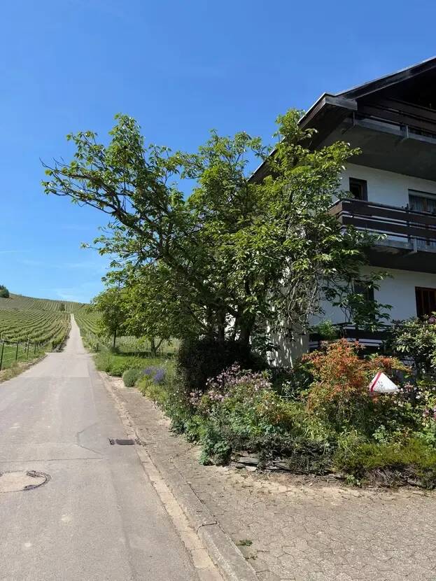 Natur pur - Großes EFH am Ortsrand - Nähe Trier und Luxemburg – Leiwen – Vorschaubild 5