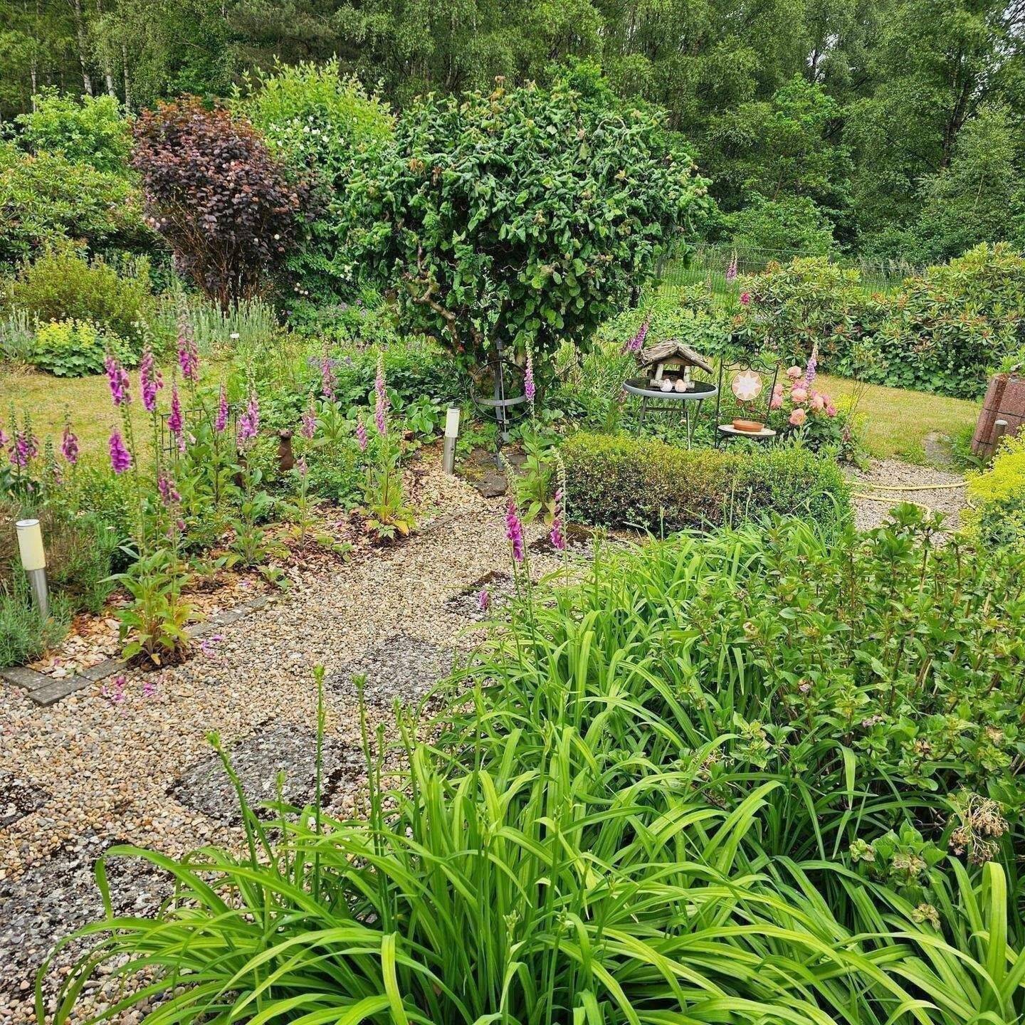 Einziehen & Aufatmen: Moderner Bungalow-Traum mit Solarkraft & Gartenidyll – Zernien – Vorschaubild 6