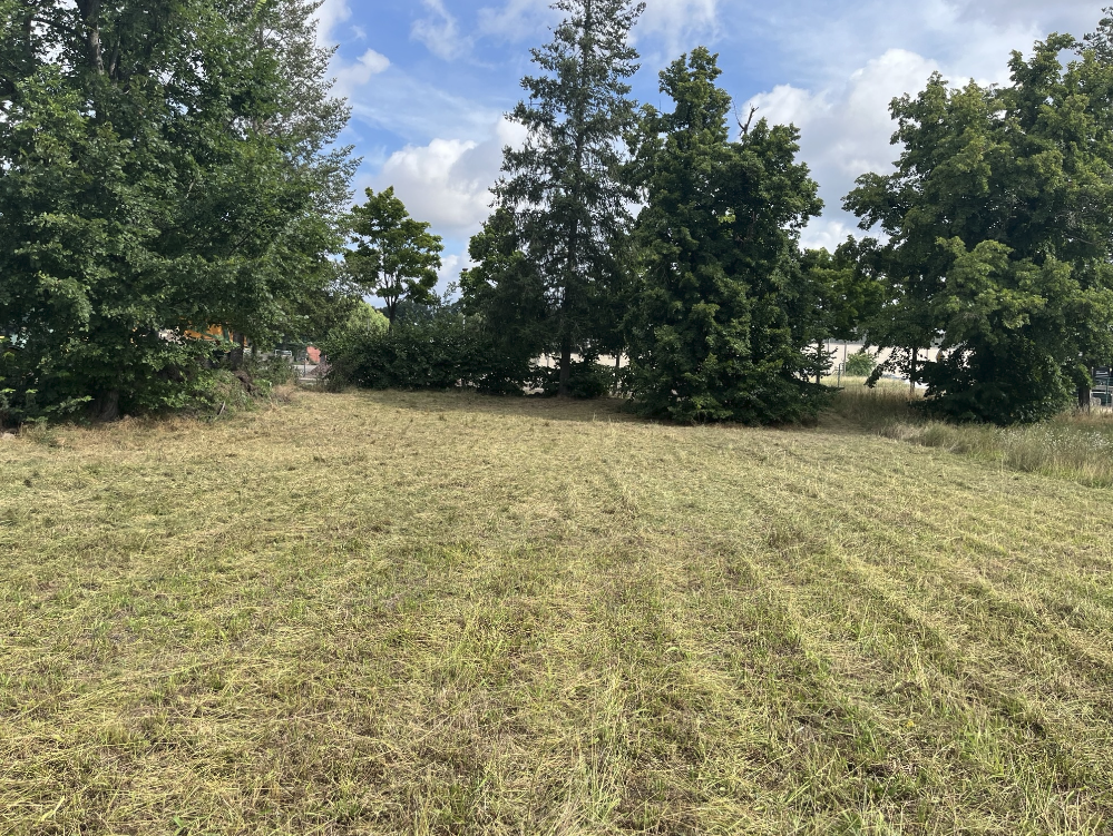 Bungalow mit 120 m² Wohnfläche auf 614 m² Grundstück in Burg – Burg – Vorschaubild 6