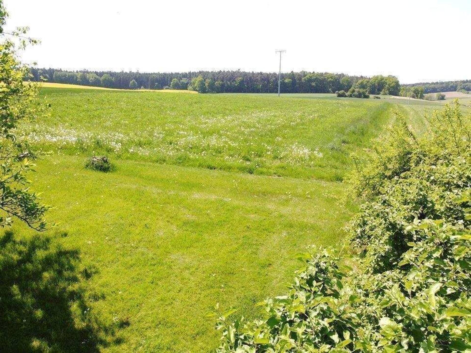 Haus in 93128 Regenstauf mit 188 m² kaufen