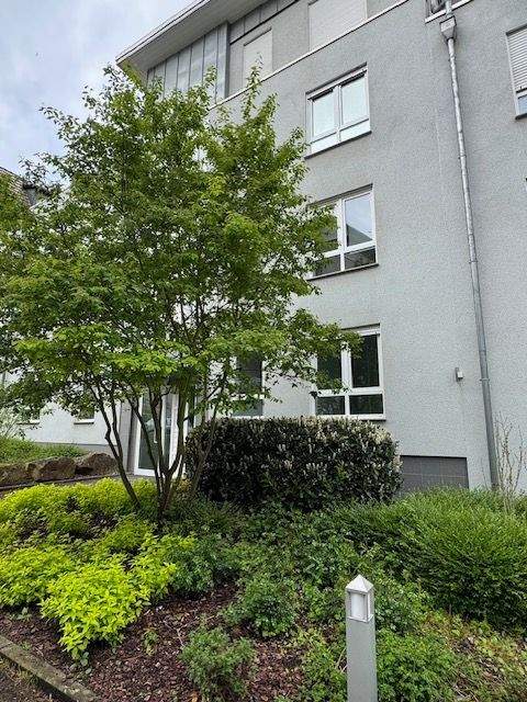 1 OG. Super Lage! Bad Wilhelmshöhe. Zwischen Bergpark und ICE-Bahnhof. Tiefgarage. Hinterhausbebauung. – Kassel – Vorschaubild 2