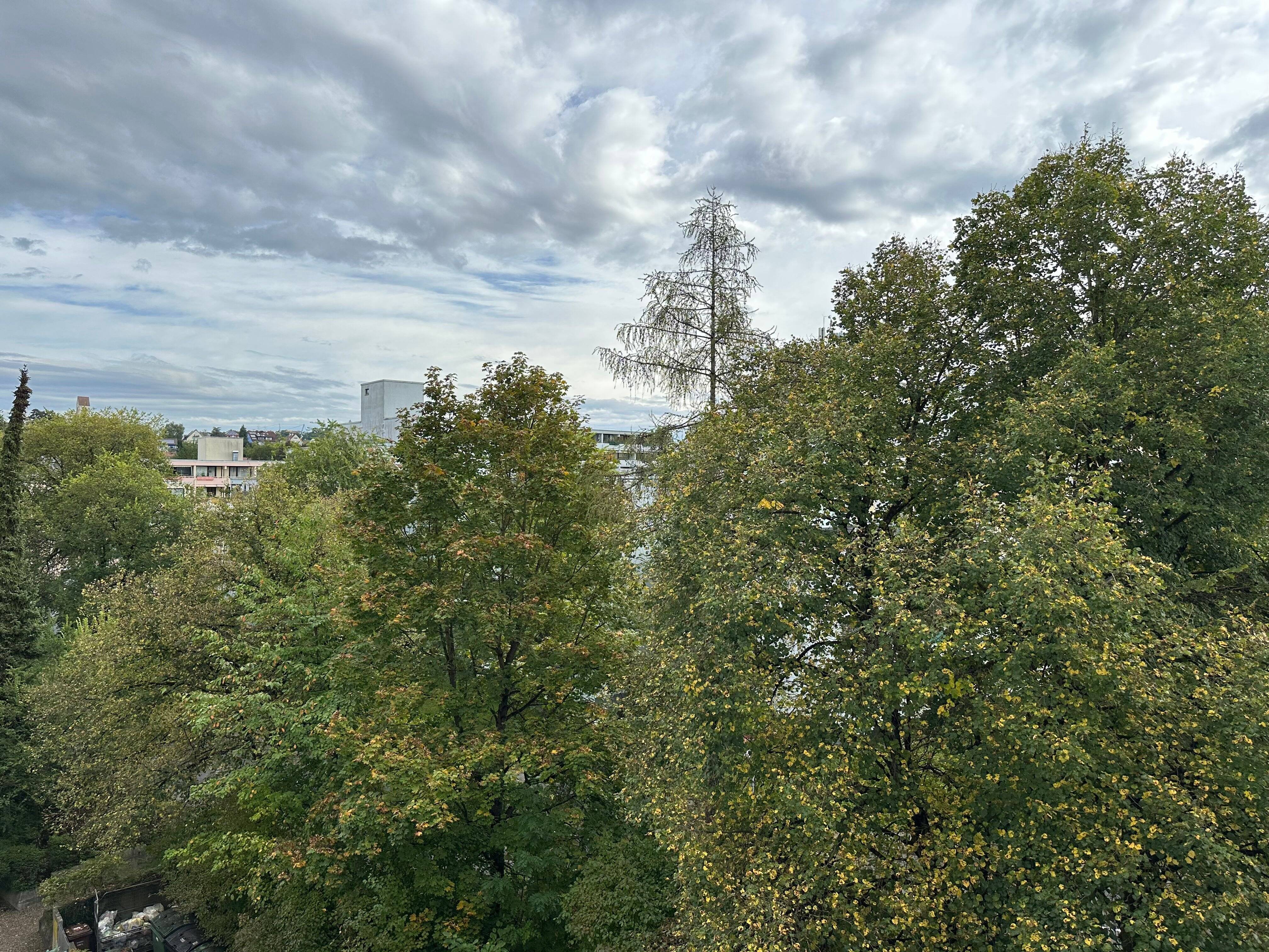 Wohnung zur Miete ab 01.09.2025