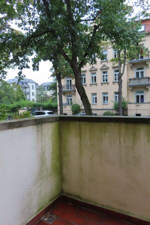 Traumhafte 4-Raum-Altbauwohnung in Dresden-Striesen – ca. 37 m² Terrasse, Balkon & Carport – 1277 Dresden – Vorschaubild 5