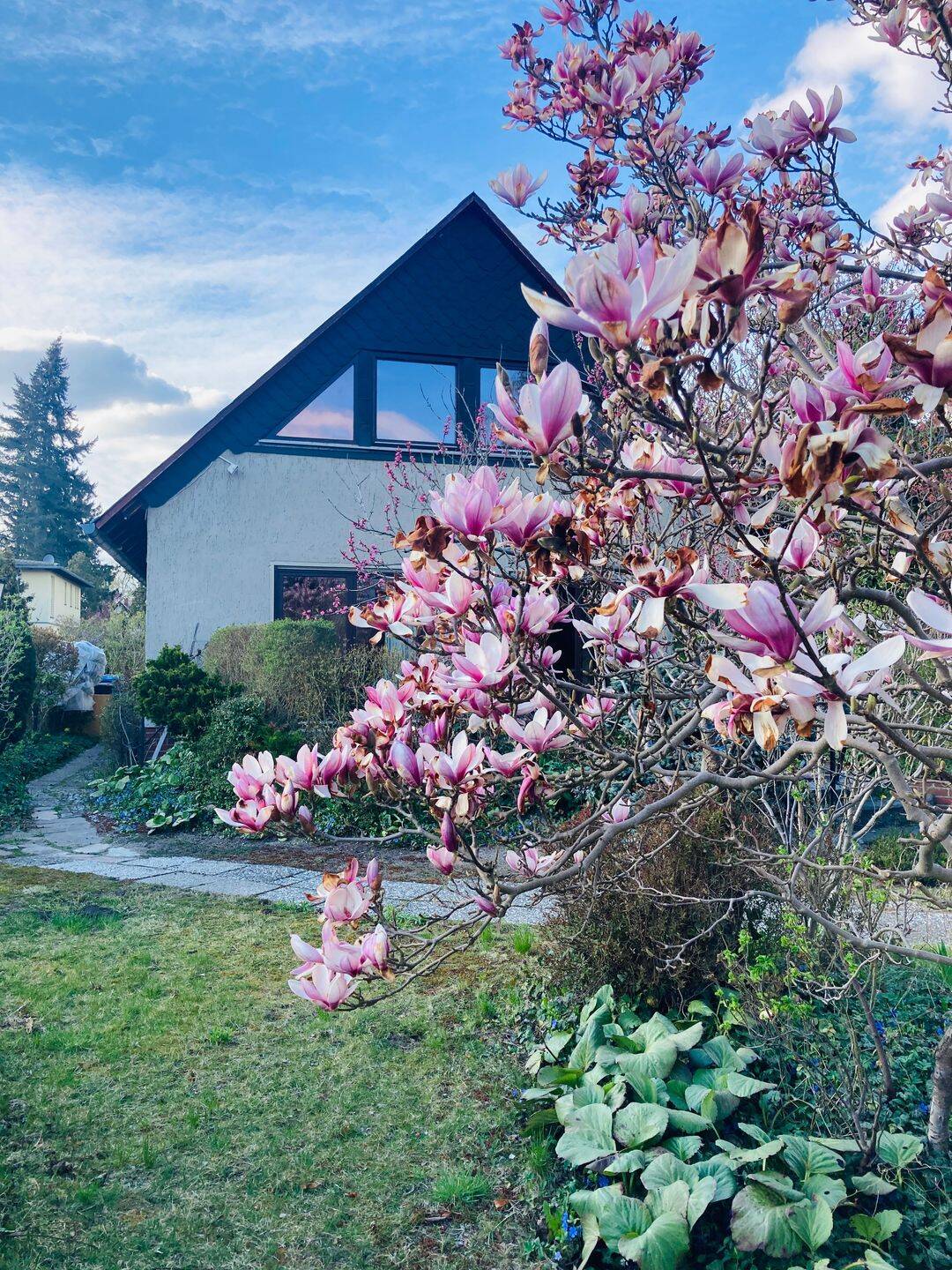 Charmantes Einfamilienhaus mit sonnigem Garten zu verkaufen! – Berlin – Vorschaubild 4