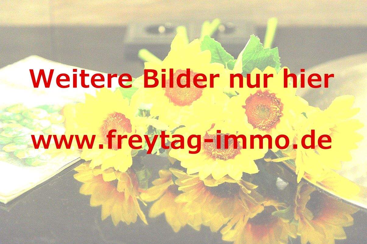 Über den Dächern der Documenta – Kassel – Vorschaubild 2