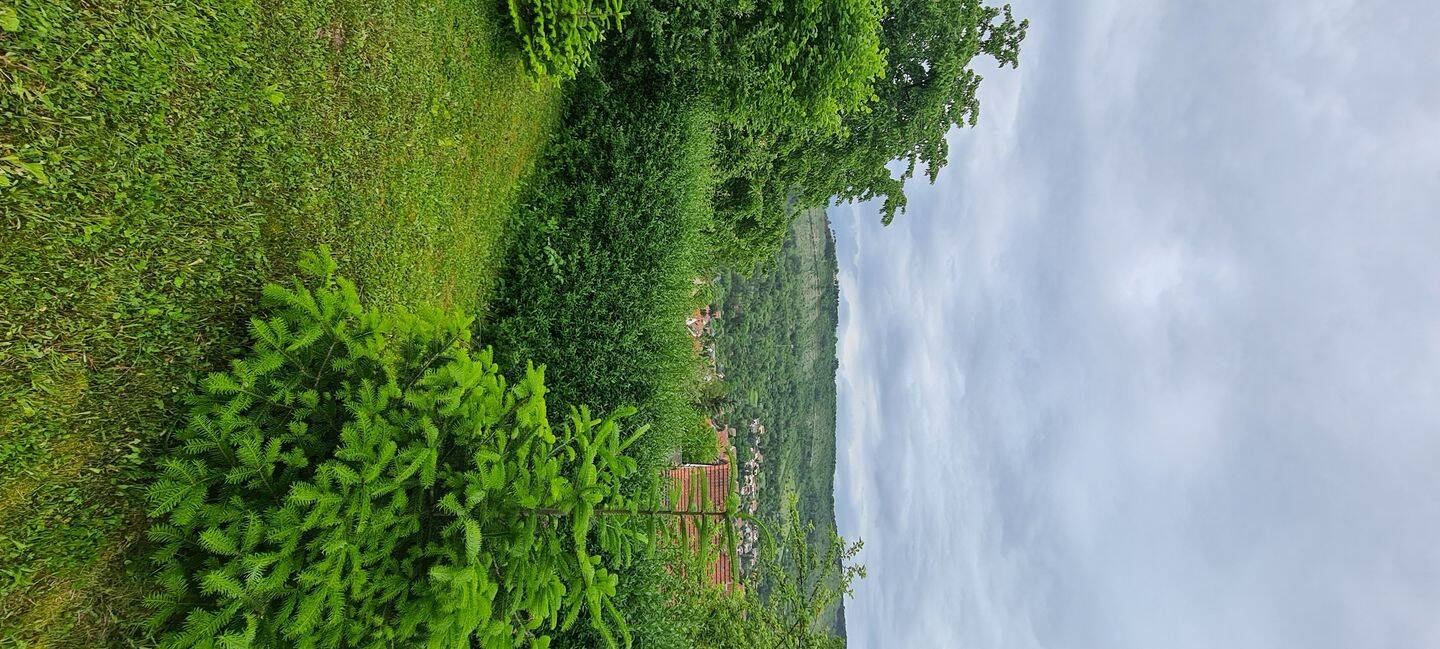 Doppelhaushälfte auf dem Schlegelsberg – Jena – Vorschaubild 4