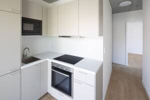 Wohnplatz für Studis/Azubis - helle 1-Zimmer-Wohnung – 13437 Berlin – Vorschaubild 4
