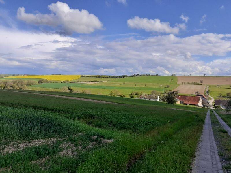 Doppelhaushälfte in einem ehemaligen Bauernhaus mit Scheunenhaus und reichlich Ausbaupotenzial mit herrlichem Grundstück – Blieskastel – Vorschaubild 8