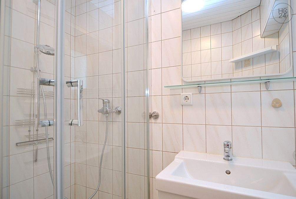 Schön möbliertes, renoviertes Apartment mit WLAN am Nürnberger Dutzendteich – Nürnberg – Vorschaubild 4