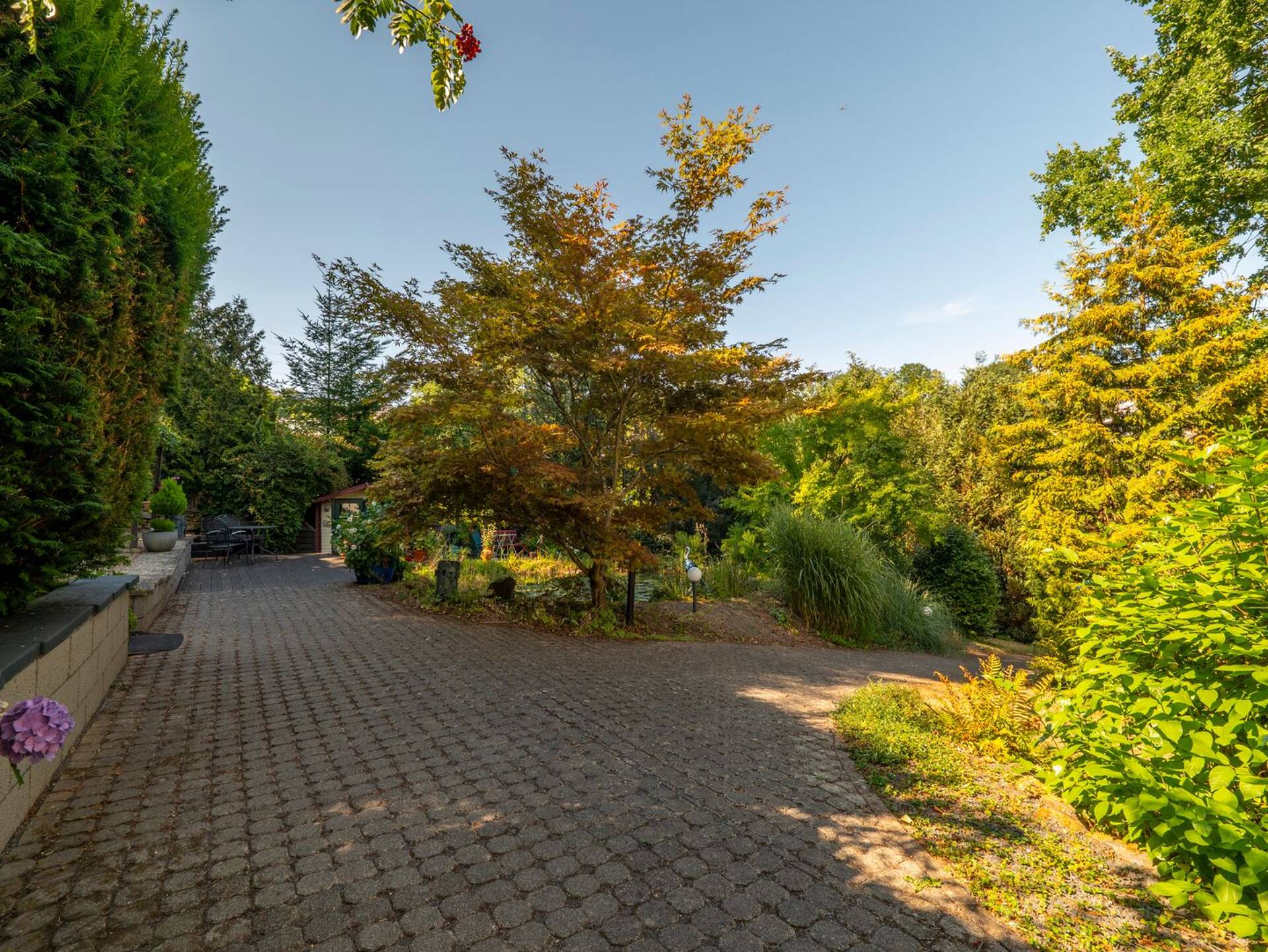 Villa in 54439 Saarburg mit 290 m² kaufen