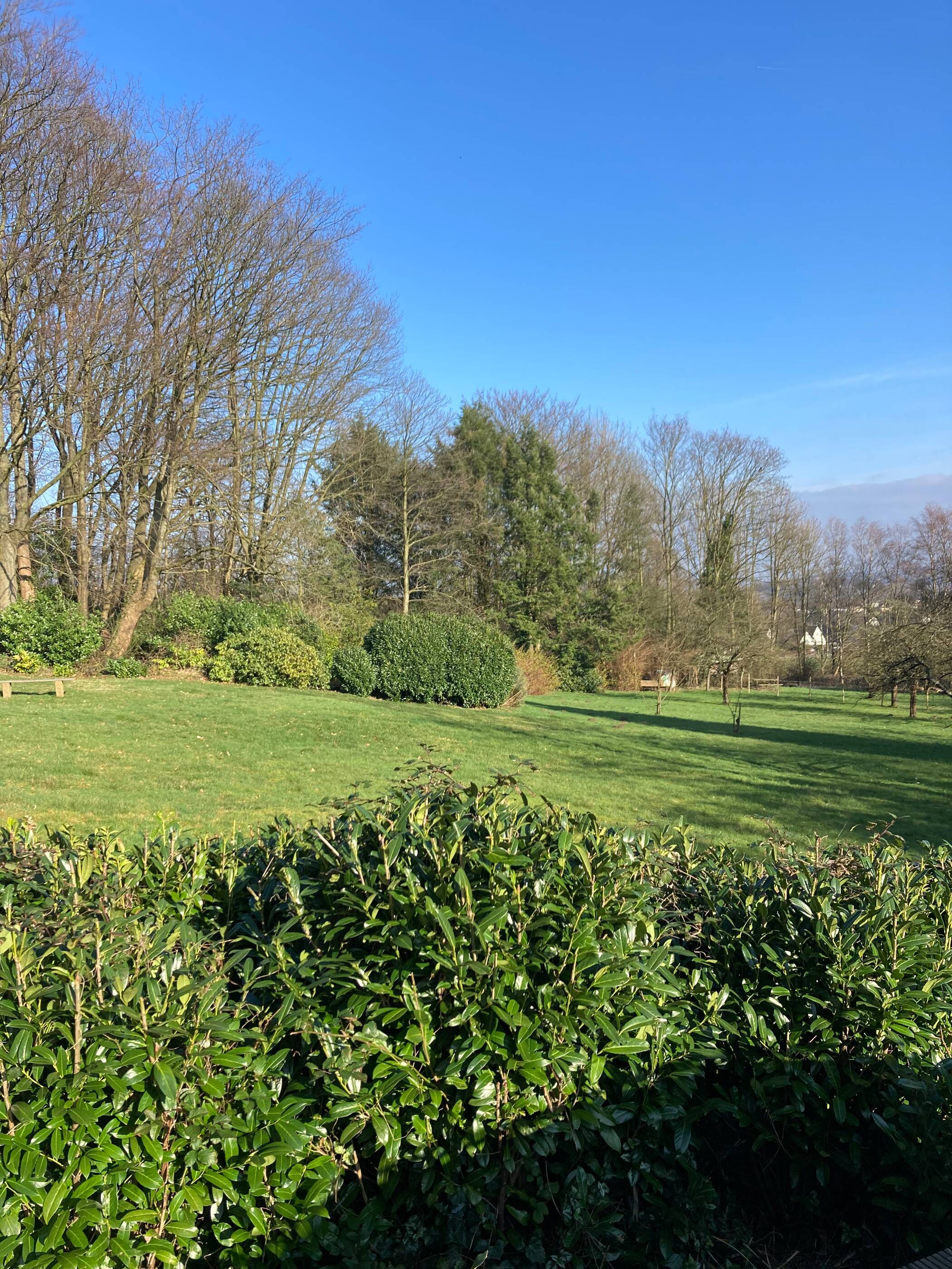 Wunderschöne Gartenwohnung, Hauscharakter, möbliert oder unmöbliert, Dortmunder Süden zu vermieten – Dortmund – Vorschaubild 3