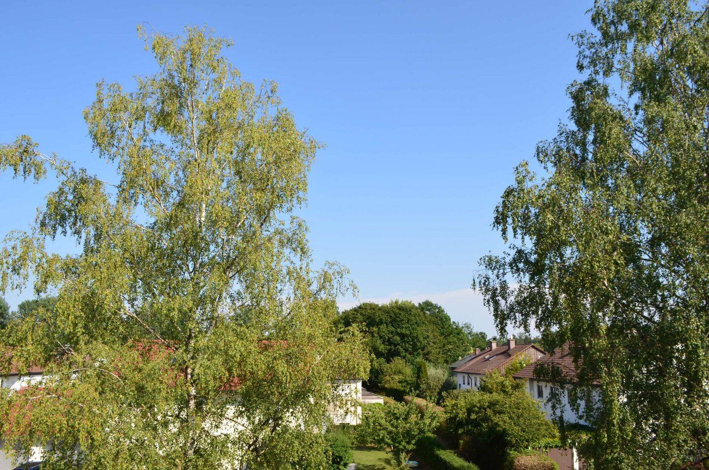geräumige gepflegte 3 Zimmerwohnung in ruhiger Lage