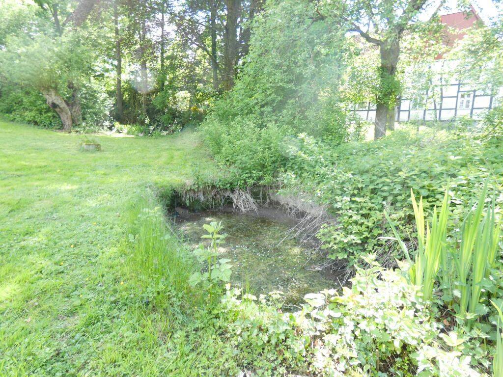 Landidylle: EFH mit Einliegerwohnung + Scheune – Bad Salzuflen – Vorschaubild 7