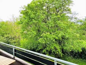 Moderne 2-Zimmer-Wohnung mit Balkon in grüner und zentraler Lage vor den Toren der Altstadtinsel! – 23568 Lübeck – Vorschaubild 5